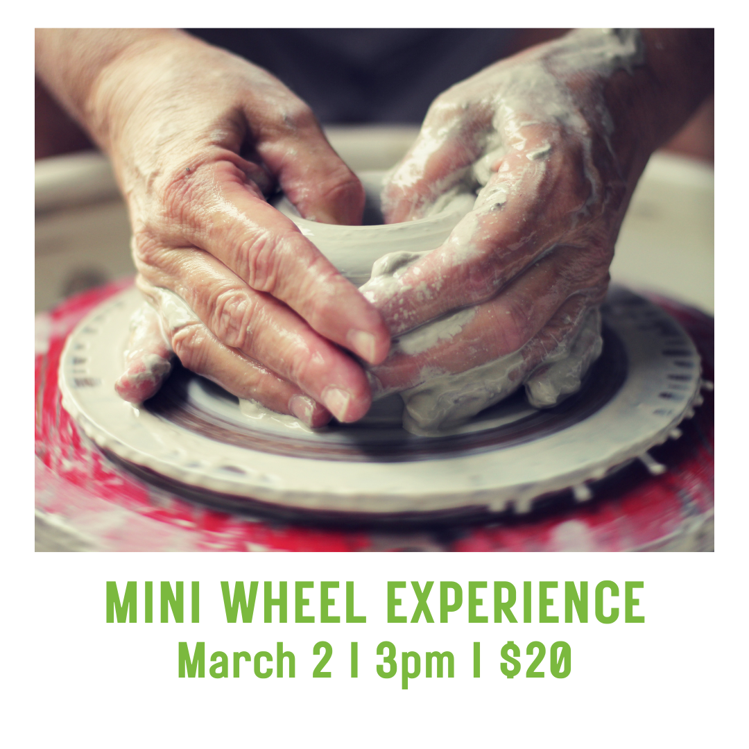 Mini Wheel Experience with Patricia - Pearl City Clay House